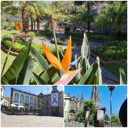 Casa Isabel Centro Historico Semesterbostad *