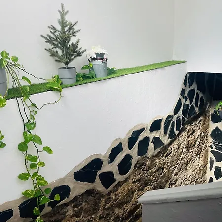 Casa Isabel Centro Historico Semesterbostad *