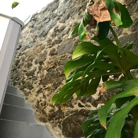 Casa Isabel Centro Historico Semesterbostad Arucas