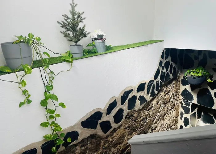 Casa Isabel Centro Histórico Casa de Férias *