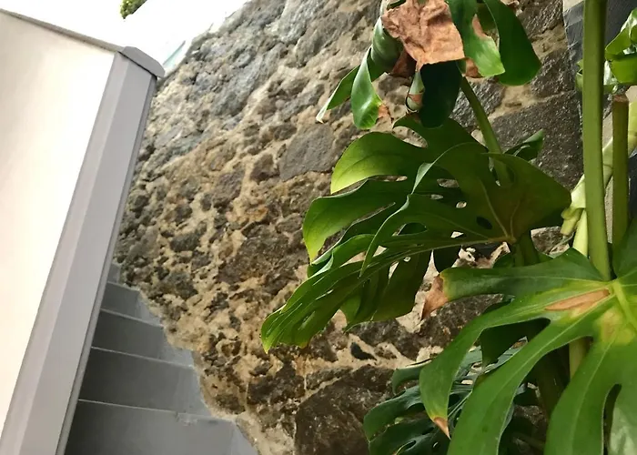 Casa Isabel Centro Histórico Casa de Férias Arucas