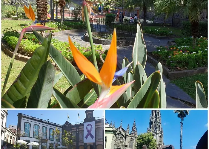 Casa Isabel Centro Historico بيت للعطل *