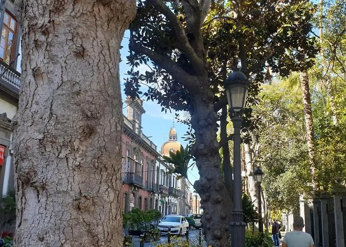 Casa Isabel Centro Historico بيت للعطل *